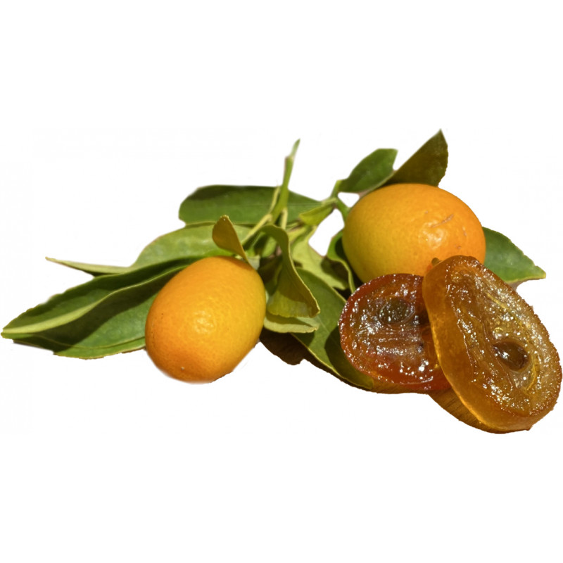 Réglette de kumquats confits 100g